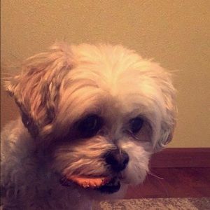 Meet your Posher, Kari