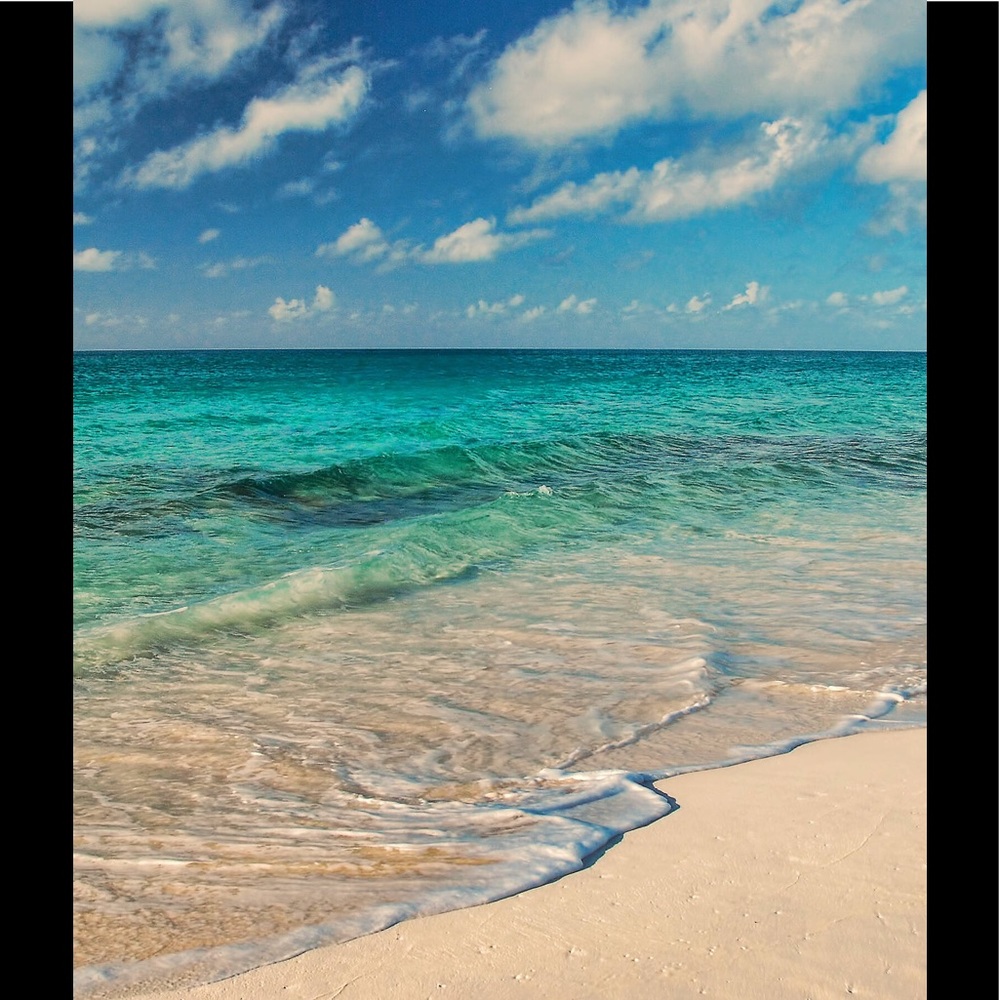 Meet your Posher, Sonia