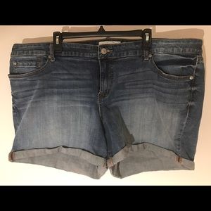 Torrid roll hen denim shorts 24