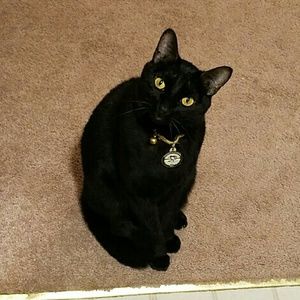 Meet your Posher, Trisha