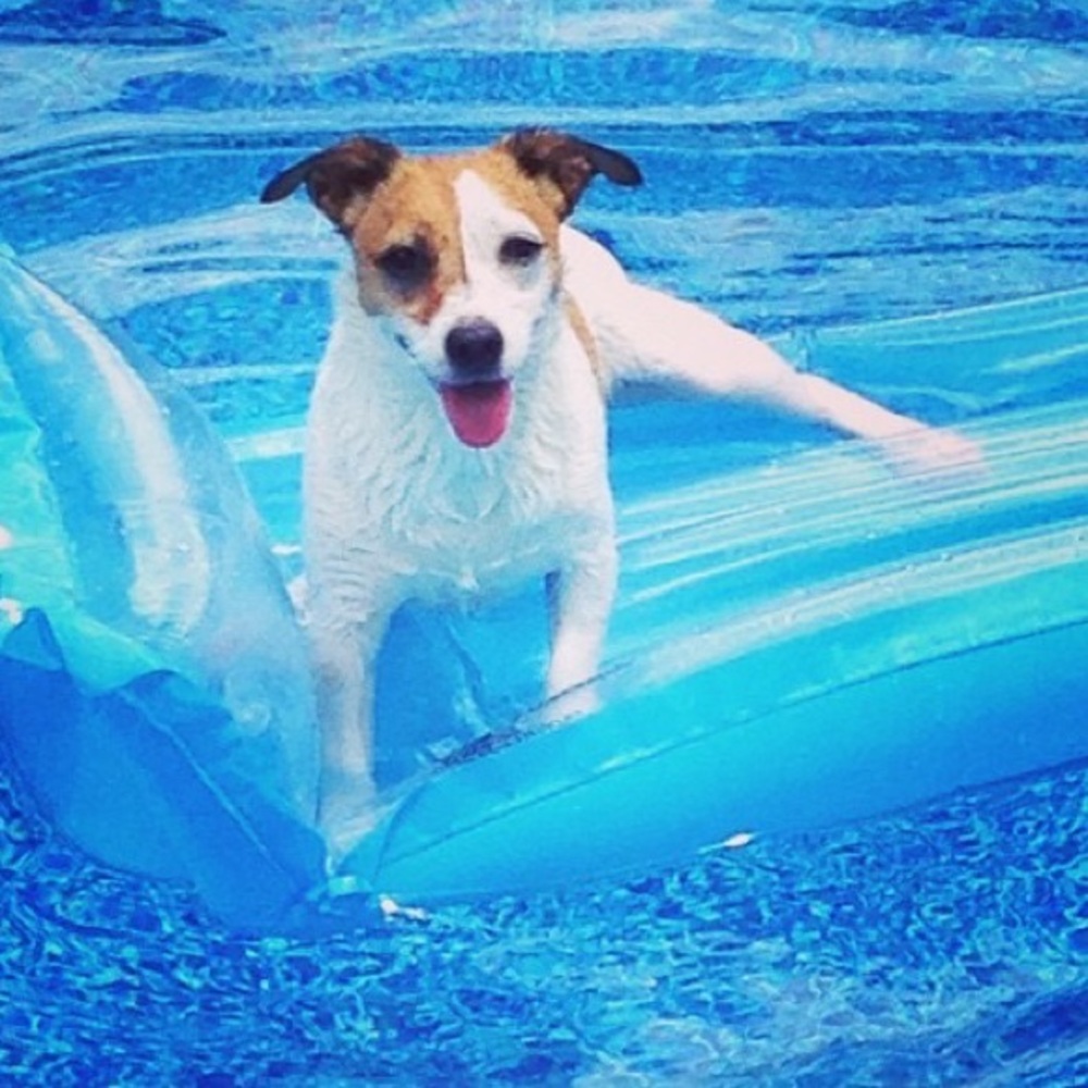 Meet your Posher, Lauren