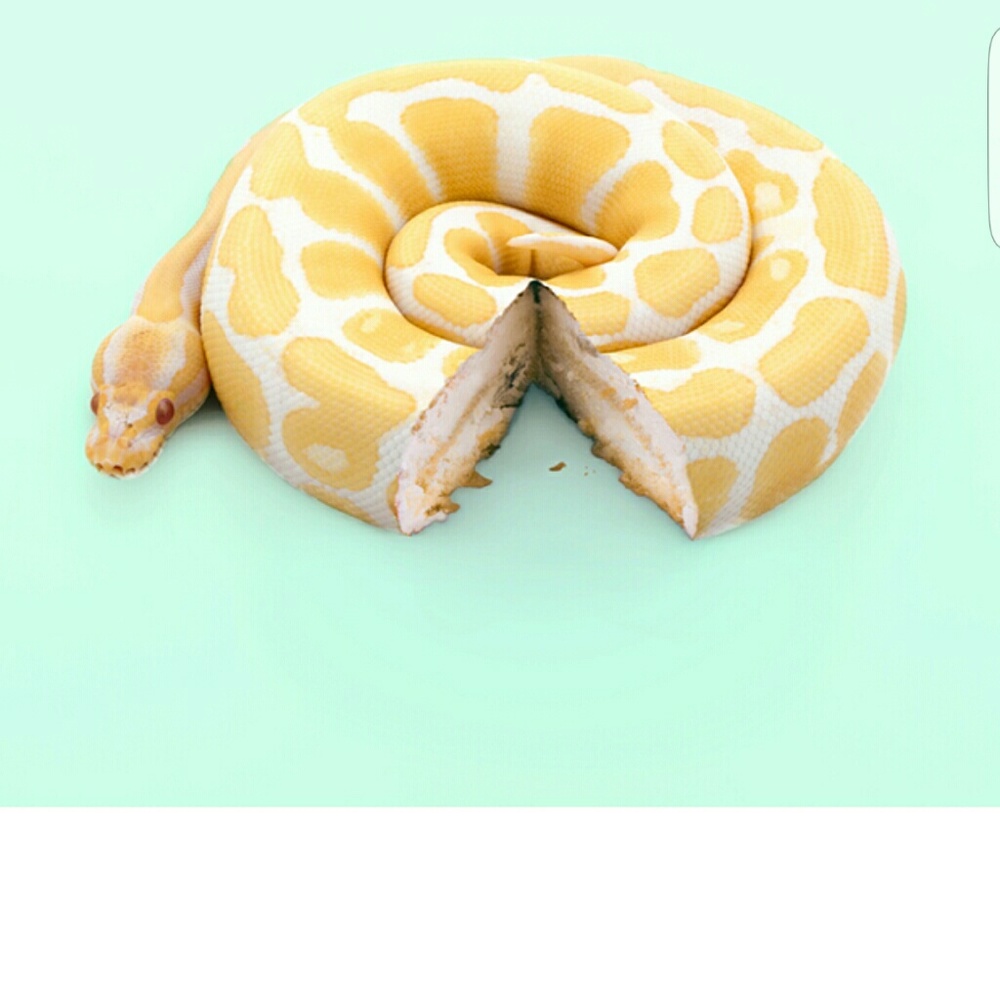 Meet your Posher, Lupita