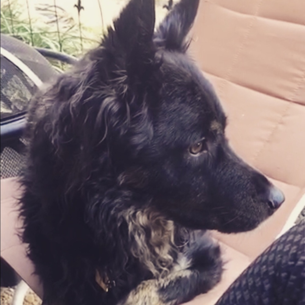 Meet your Posher, Leta