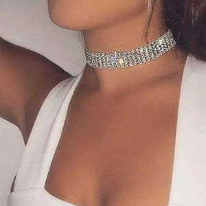 Fashion jewelry chocker
