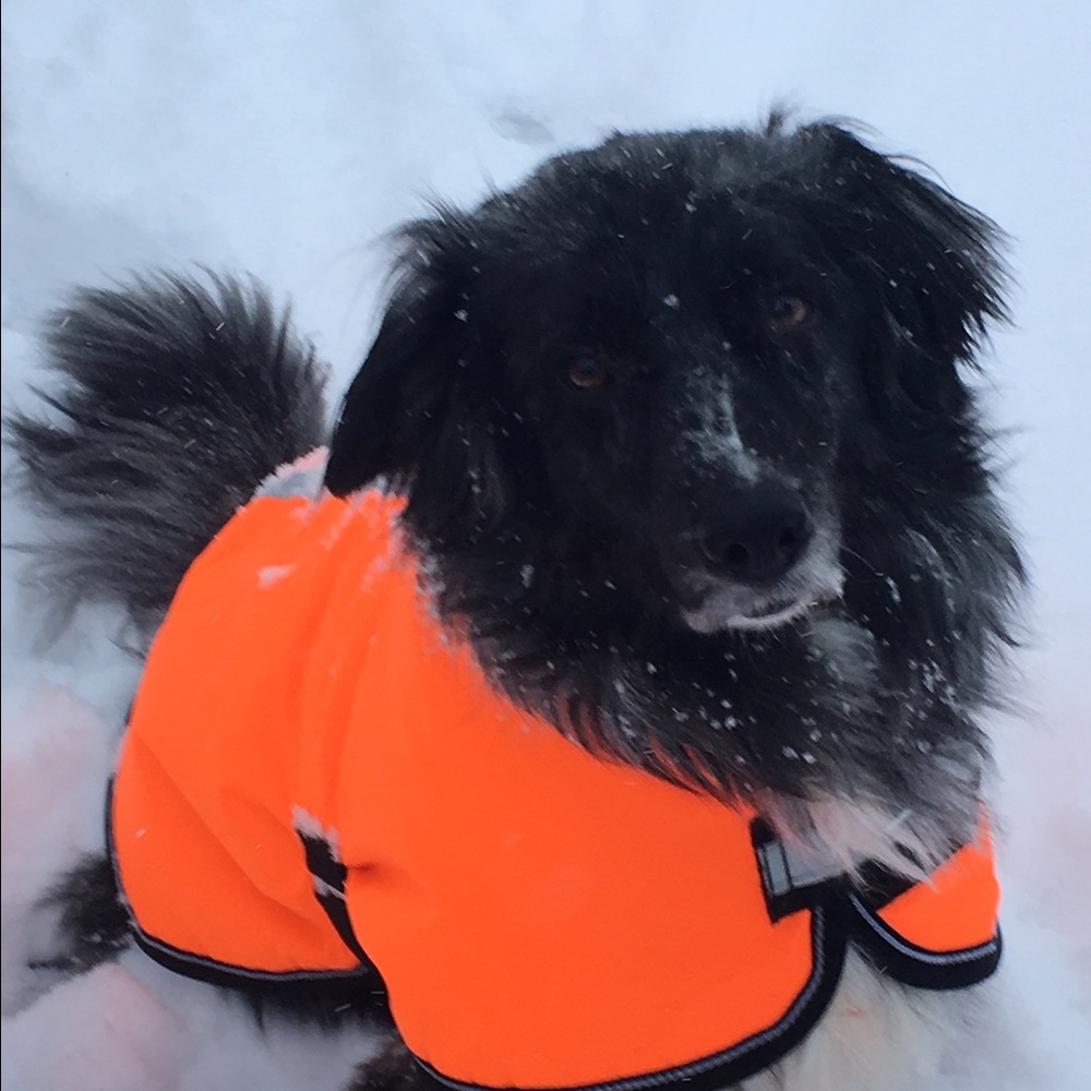 Meet your Posher, Deb