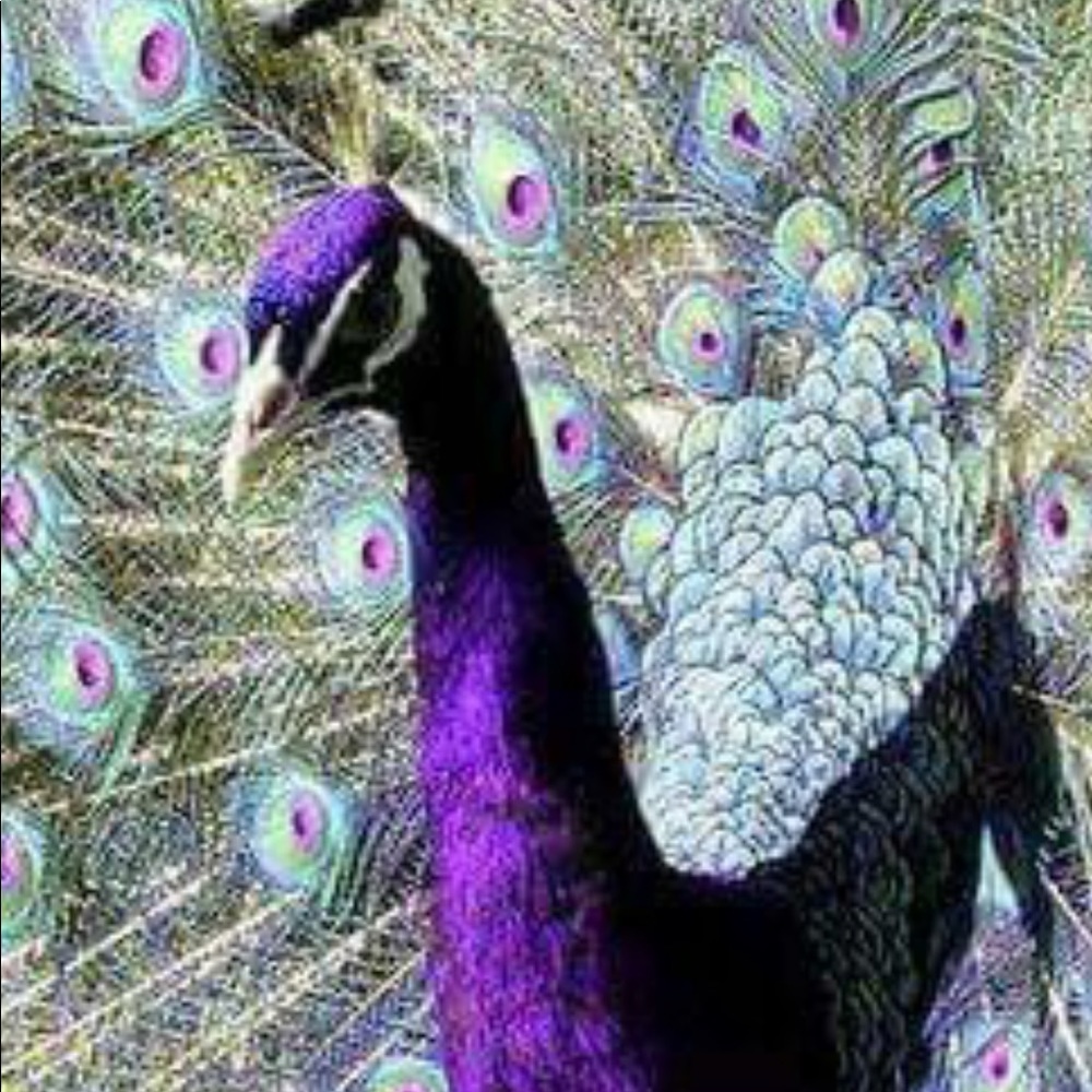 Meet your Posher, Yolanda