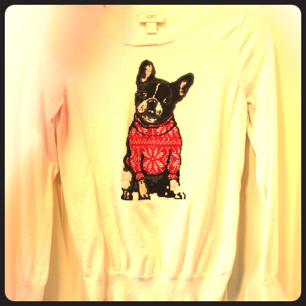 Loft Sweater