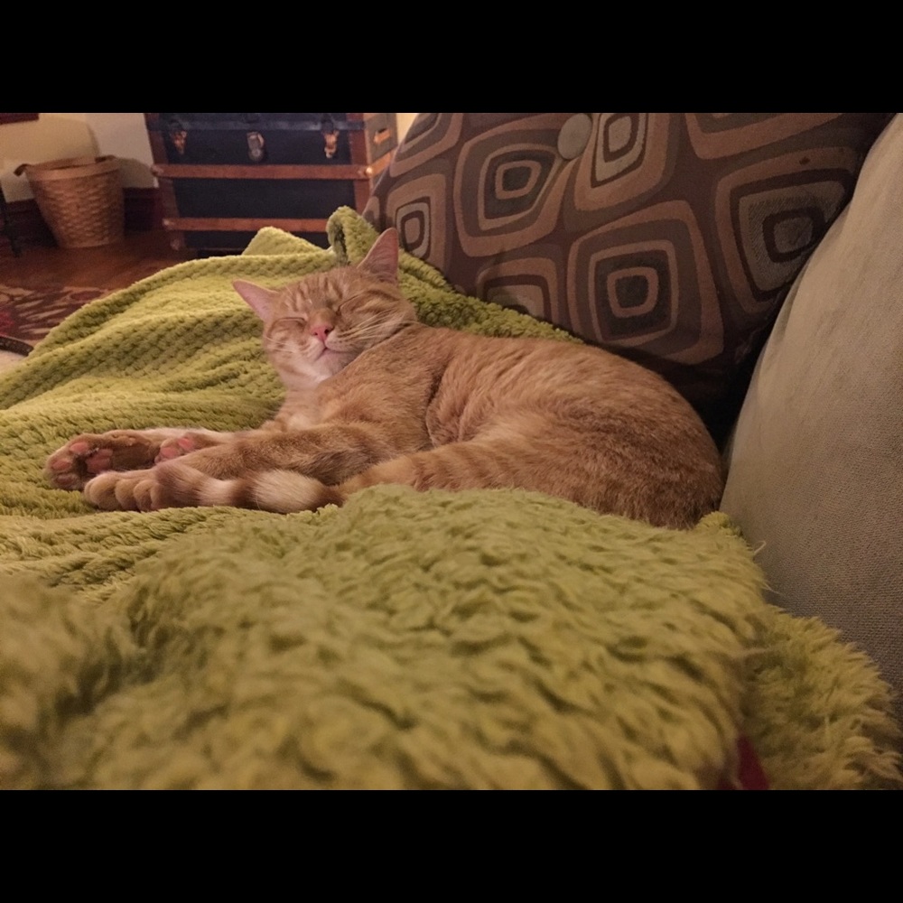 Meet your Posher, Mandy