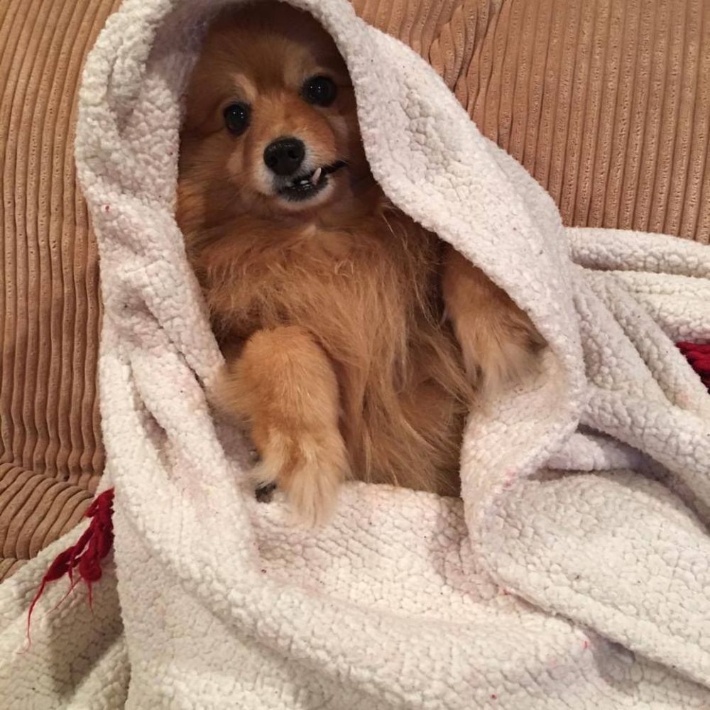 Meet your Posher, Kathy