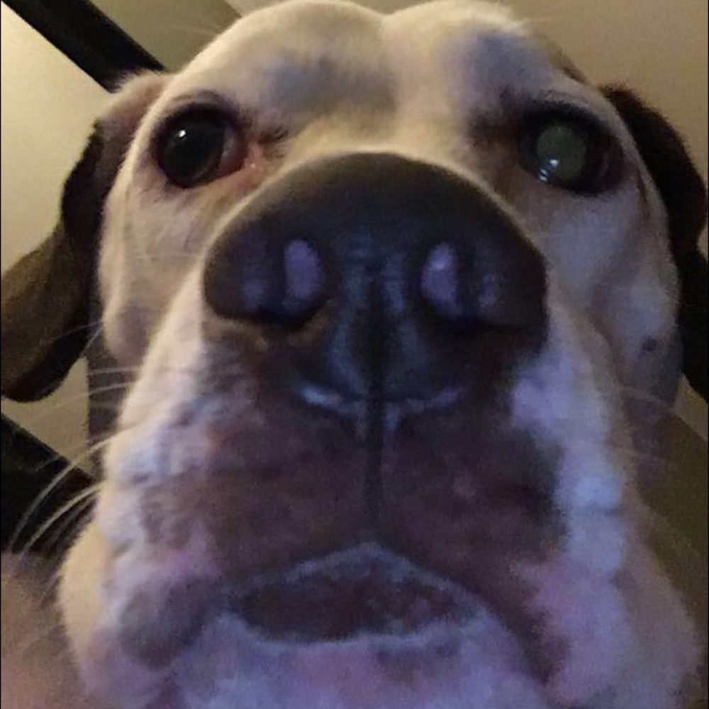 Meet your Posher, Kelsie