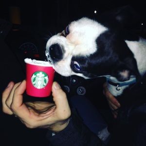 Meet your Posher, Abby