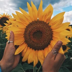 Meet your Posher, Eleni