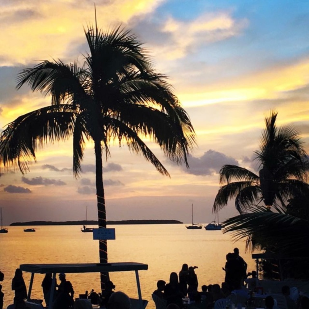 Meet your Posher, Lindsey