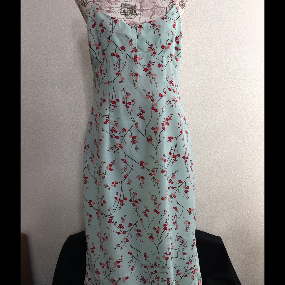 EXPRESS Cherry Blossum Dress
