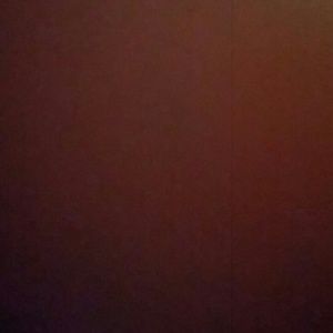 Meet your Posher, Shania