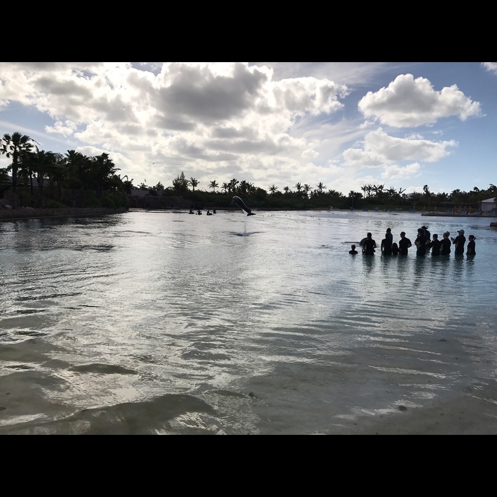 Meet your Posher, Gina