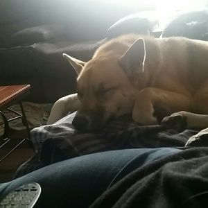 Meet your Posher, Rhonda