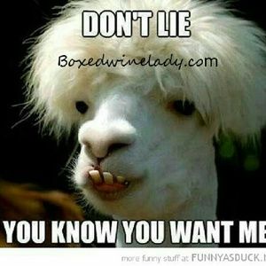 Meet your Posher, Keasha