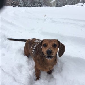 Meet your Posher, Lisa