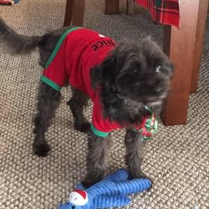 Meet your Posher, Patti