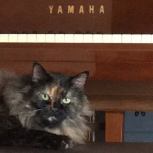 Meet your Posher, Kathy