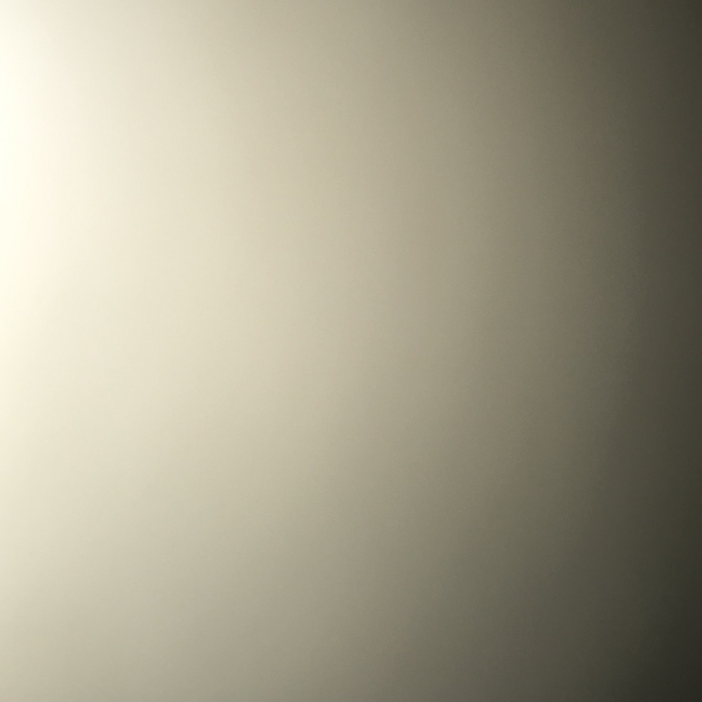 Meet your Posher, Bayley