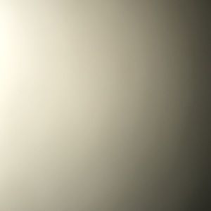 Meet your Posher, Bayley