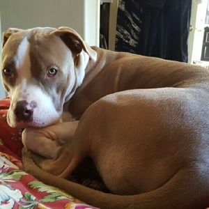 Meet your Posher, Suzanne