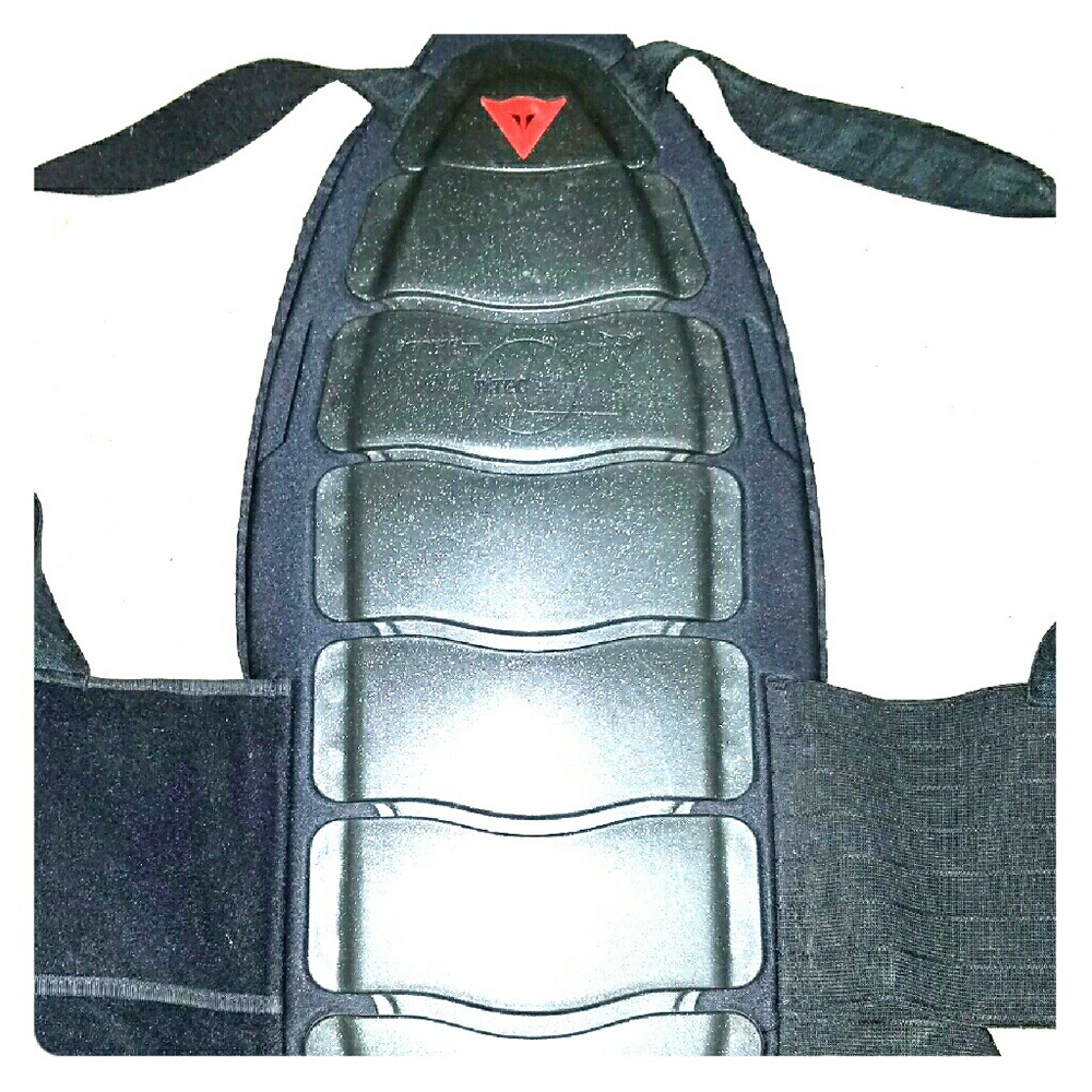 Dainese back armor size Large