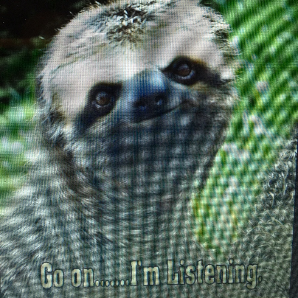 Like it? Make an offer🦋