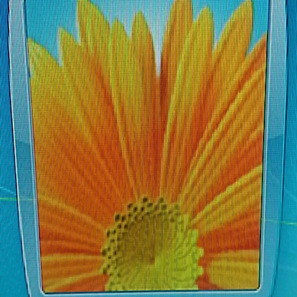 Meet your Posher, Tammy