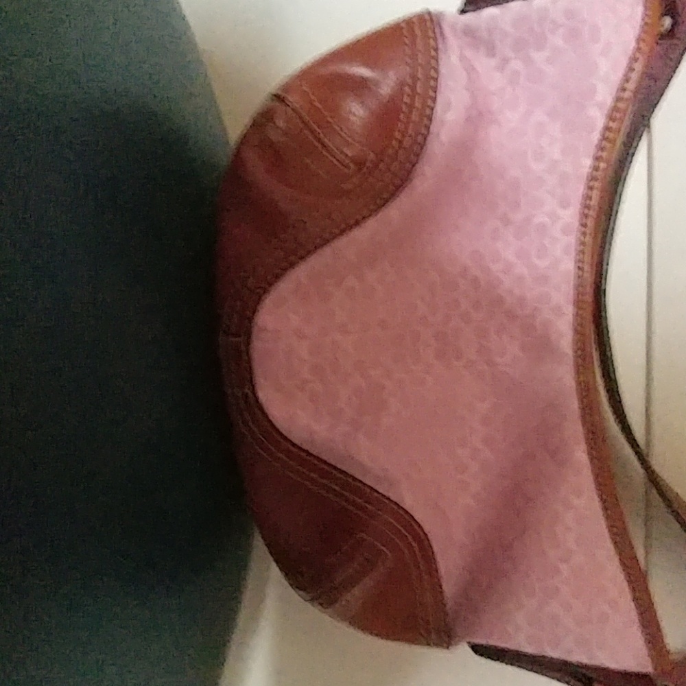 Small pretty coach purse