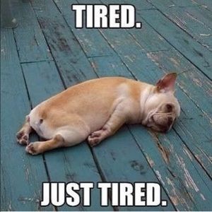 Meet your Posher, Stacy