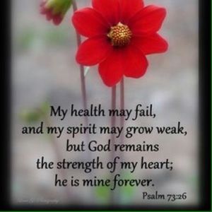 Meet your Posher, Lena