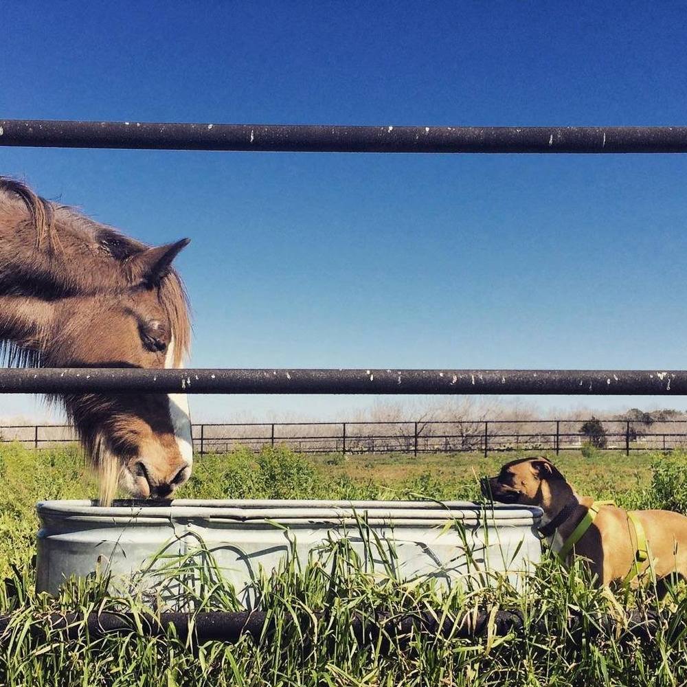 Meet your Posher, Dulce