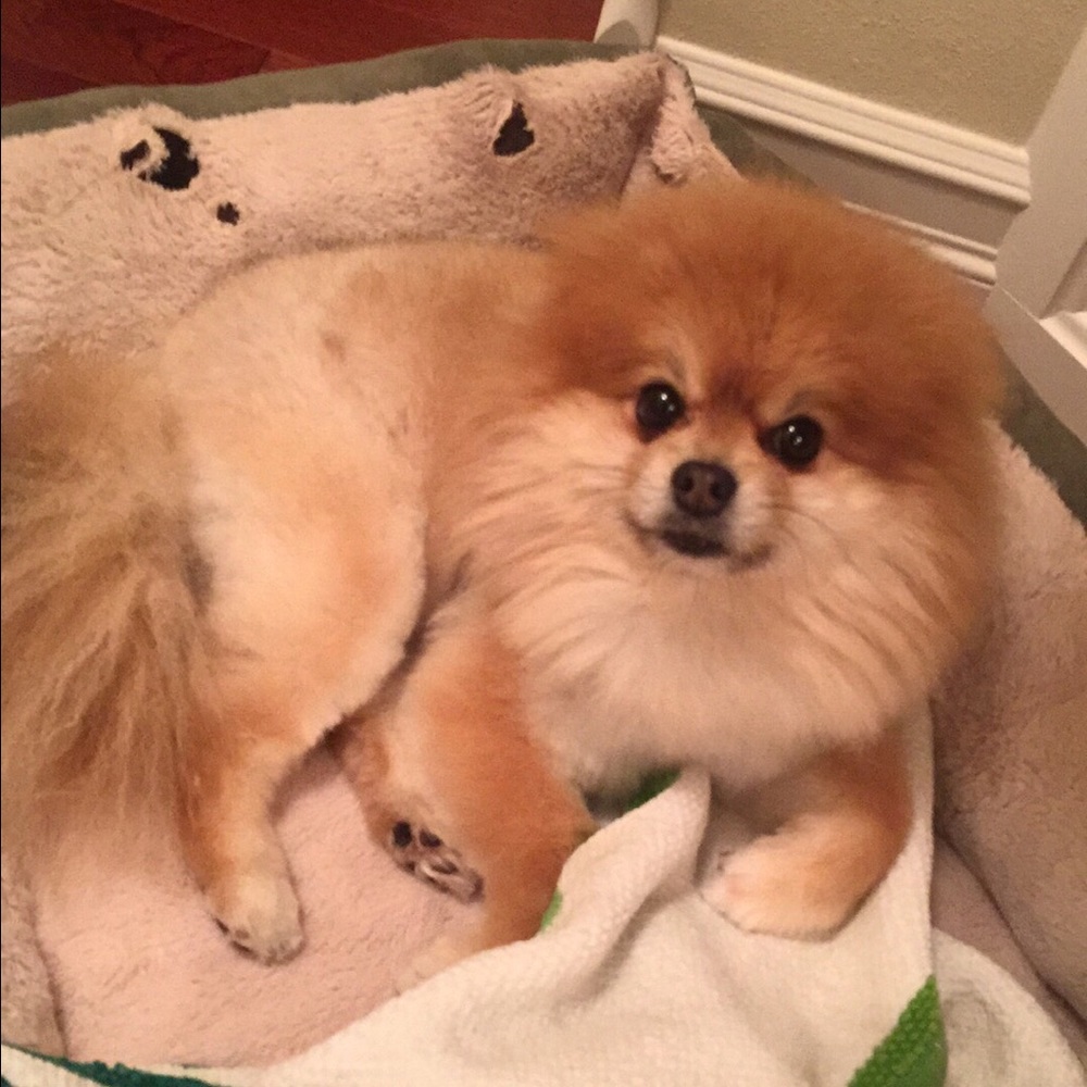 Meet your Posher, Matthew