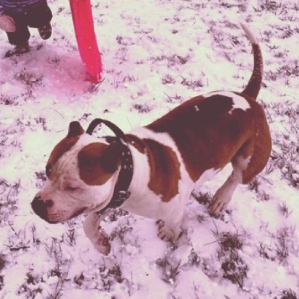 Meet your Posher, Tress