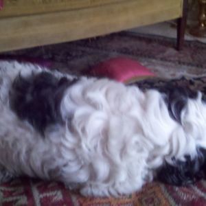 Meet your Posher, Katrina