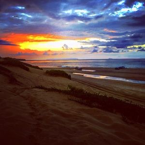 Meet your Posher, Liz