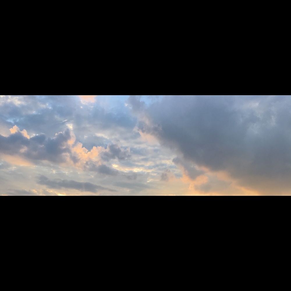 Meet your Posher, Roberta