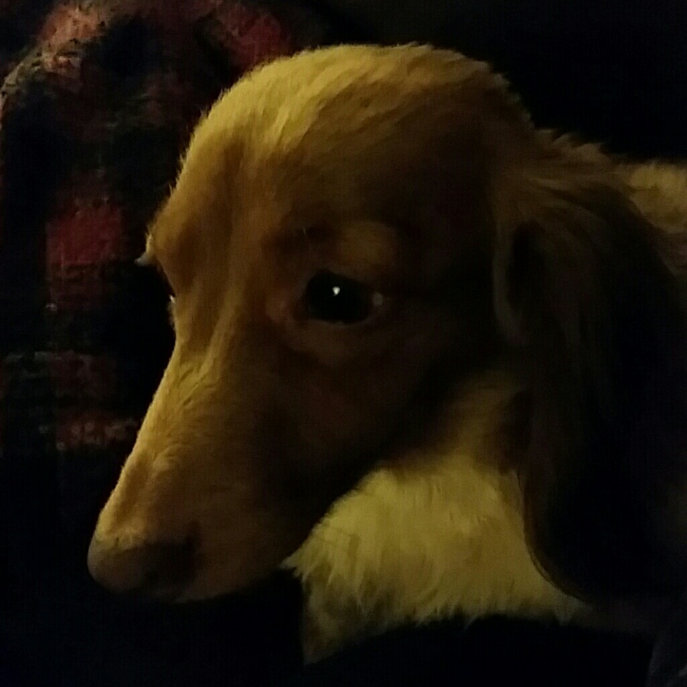 Meet your Posher, Irene