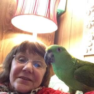 Meet your Posher, Mary