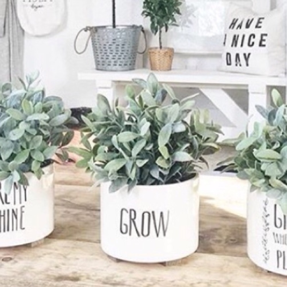 Grow pot for @mckenzielund