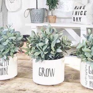 Grow pot for @mckenzielund