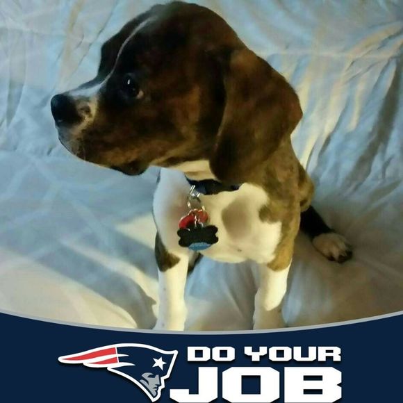 Meet your Posher, Simone - Picture 1 of 1