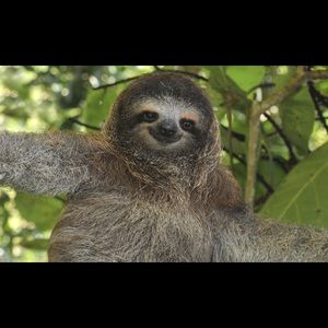 Meet your Posher, Evan