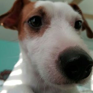 Meet your Posher, Sally