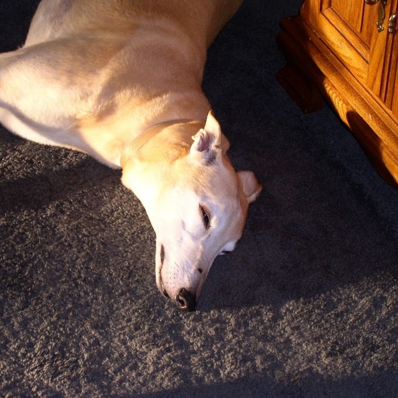 Meet your Posher, Gayle - Picture 2 of 2