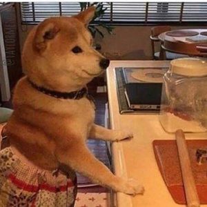 Meet your Posher, Yaritza