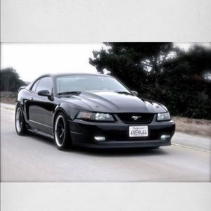 Meet your Posher, Eddy